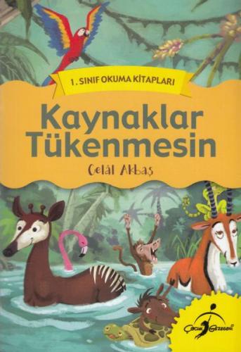 1. Sınıf Okuma Kitapları - Kaynaklar Tükenmesin Celal Akbaş