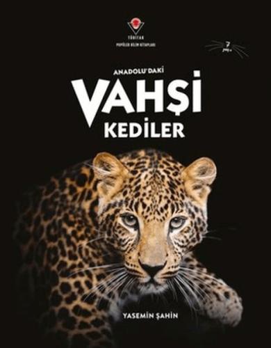 Anadolu'Daki Vahşi Kediler Yasemin Şahin