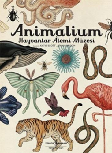 Animalium - Hayvanlar Alemi Müzesi %31 indirimli Kolektif