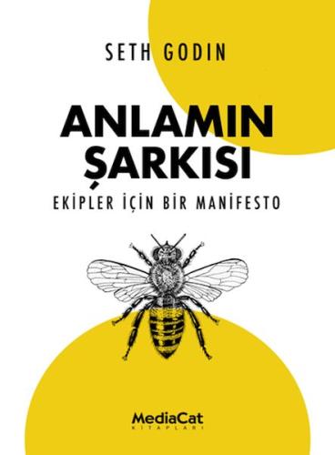 Anlamın Şarkısı %15 indirimli Seth Godin