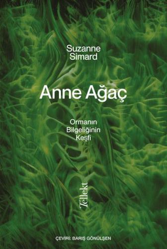 Anne Ağaç Suzanne Simard