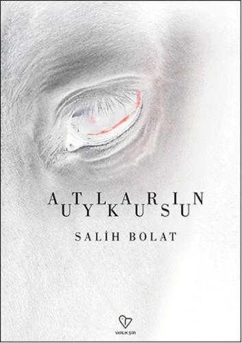 Atların Uykusu %20 indirimli Salih Bolat