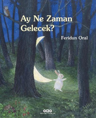 Ay Ne Zaman Gelecek? %18 indirimli Feridun Oral