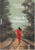 Bir Kitap Tebessüm Hikmet Gülay