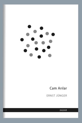 Cam Arılar %13 indirimli Ernst Jünger