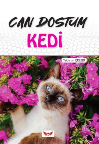 Can Dostum Kedi Yıldırım Çelebi