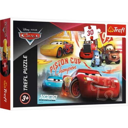 Cars 3 Champion Team 18233 (30 Parça)