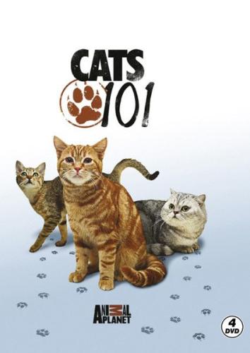 Cats 101 - Kediler %25 indirimli Various