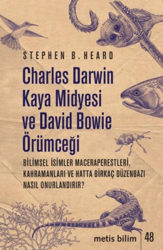 Charles Darwin Kaya Midyesi ve David Bowie Örümceği %10 indirimli Step