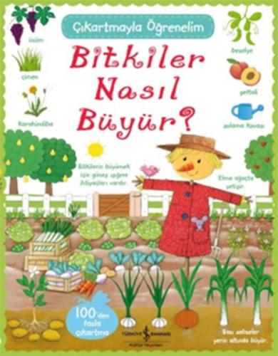 Çıkartmayla Öğrenelim Bitkiler Nasıl Büyür? %31 indirimli Felicity Bro