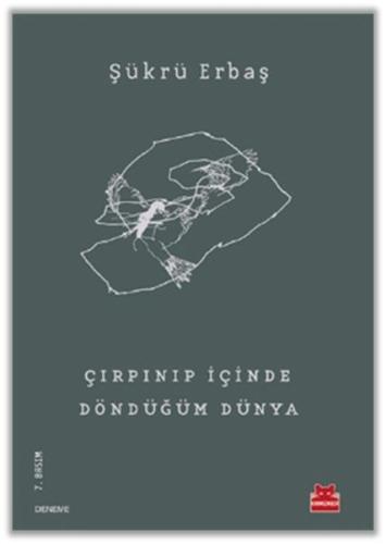 Çırpınıp İçinde Döndüğüm Dünya %14 indirimli Şükrü Erbaş