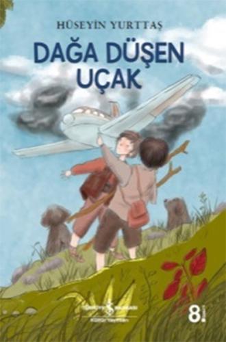 Dağa Düşen Uçak %31 indirimli Hüseyin Yurttaş