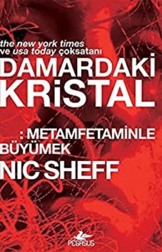 Damardaki Kristal: Metamfetaminle Büyümek %15 indirimli Nic Sheff