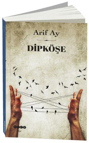 Dipköşe Arif Ay