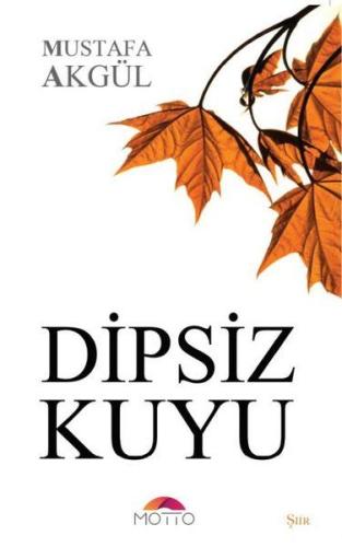 Dipsiz Kuyu %20 indirimli Mustafa Akgül