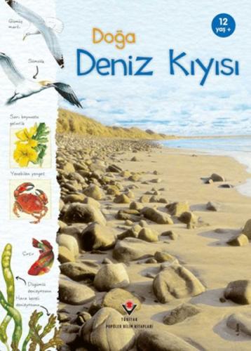 Doğa Deniz Kıyısı Conrad Mason