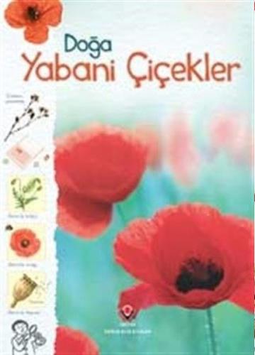 Doğa-Yabani Çiçekler Kirsteen Rogers