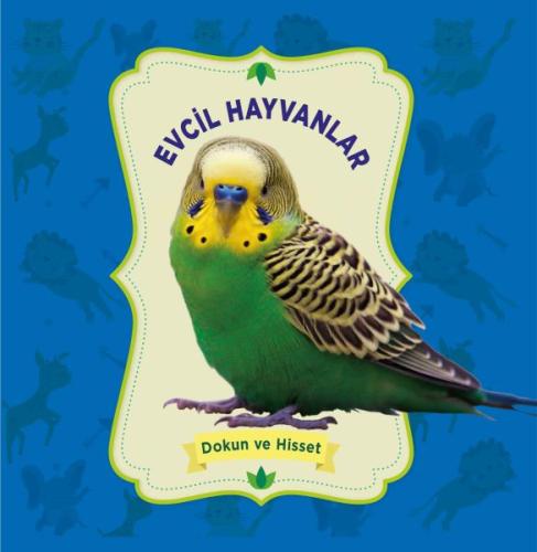 Evcil Hayvanlar - Dokun ve Hisset %23 indirimli Kolektıf