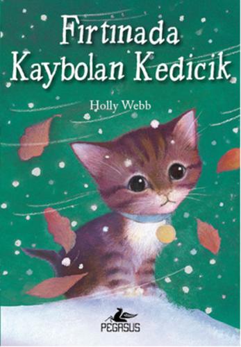 Fırtınada Kaybolan Kedicik %15 indirimli Holly Webb