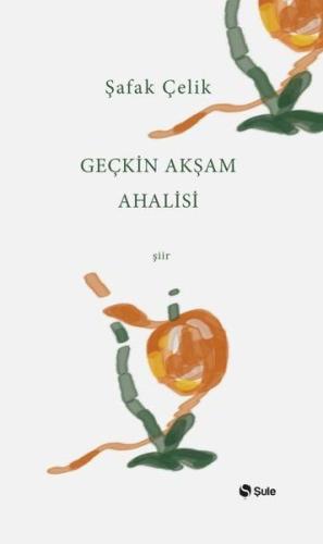 Geçkin Akşam Ahalisi %17 indirimli Şafak Çelik