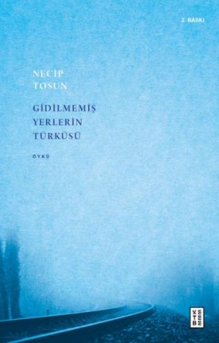 Gidilmemiş Yerlerin Türküsü %17 indirimli Necip Tosun