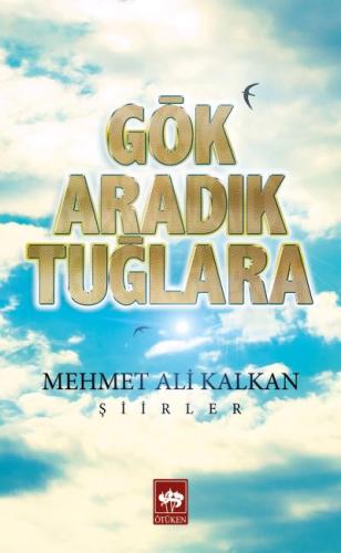 Gök Aradık Tuğlara %19 indirimli Mehmet Ali Kalkan