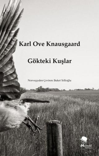 Gökteki Kuşlar %22 indirimli Karl Ove Knausgaard