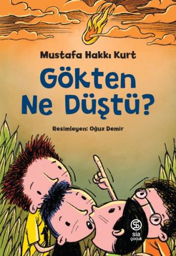 Gökten Ne Düştü? %13 indirimli Mustafa Hakkı Kurt