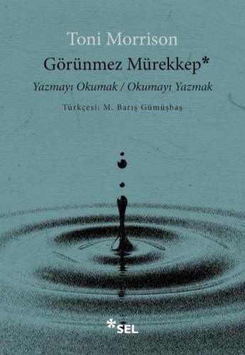 Görünmez Mürekkep: Yazmayı Okumak / Okumayı Yazmak %12 indirimli Toni 