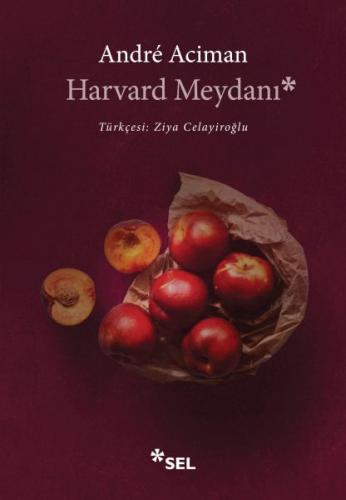 Harvard Meydanı Andre Aciman