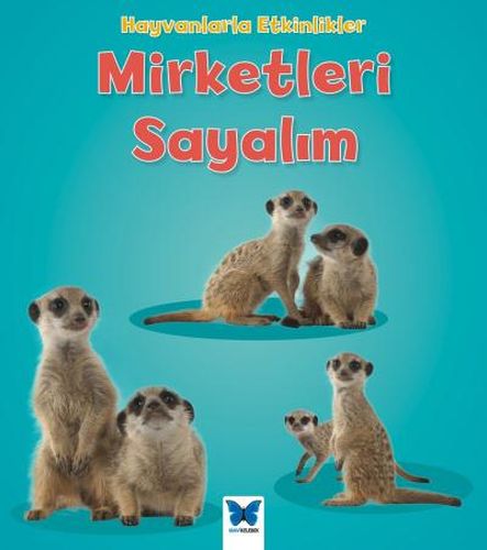 Hayvanlarla Etkinlikler - Mirketleri Sayalım %14 indirimli Tracey Stef