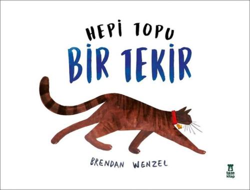 Hepi Topu Bir Tekir %17 indirimli Brendan Wenzel