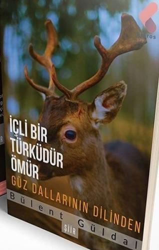 İçli Bir Türküdür Ömür Güz Dallarının Dilinden Bülent Güldal