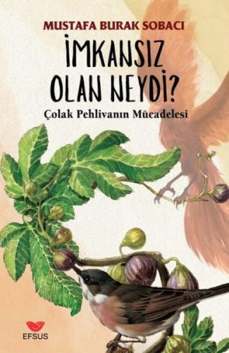 İmkansız Olan Neydi %22 indirimli Mustafa Burak Sobacı