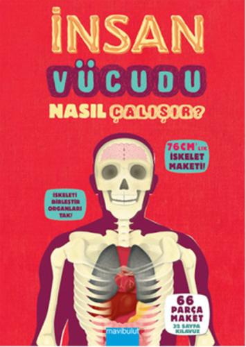 İnsan Vücudu Nasıl Çalışır? Richard Walker