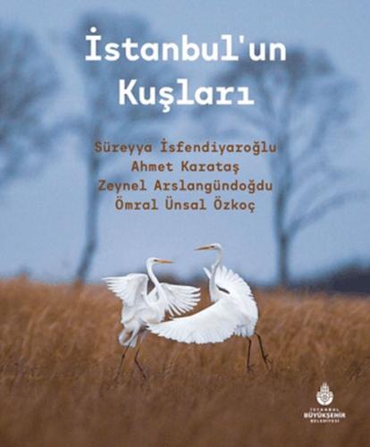 İstanbulun Kuşları %14 indirimli Kolektif