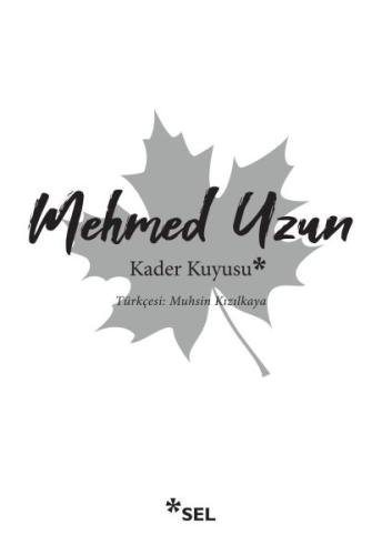 Kader Kuyusu %12 indirimli Mehmed Uzun