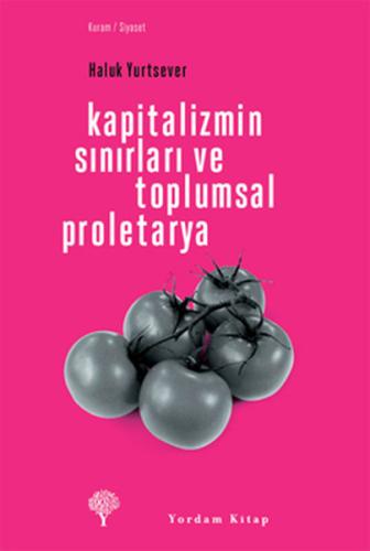 Kapitalizmin Sınırları ve Toplumsal Proletarya %12 indirimli Haluk Yur