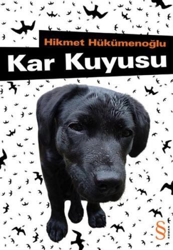 Kar Kuyusu Hikmet Hükümenoğlu