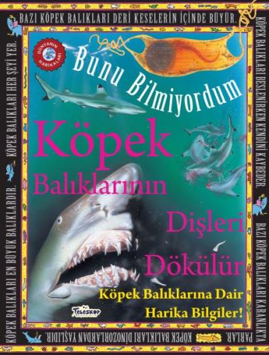 Köpek Balıklarının Dişleri Dökülür - Bunu Bilmiyordum - Köpek Balıklar