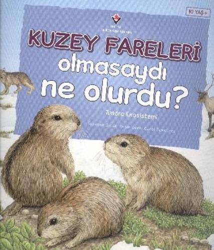 Kuzey Fareleri Olmasaydı Ne Olurdu? Suzanne Slade