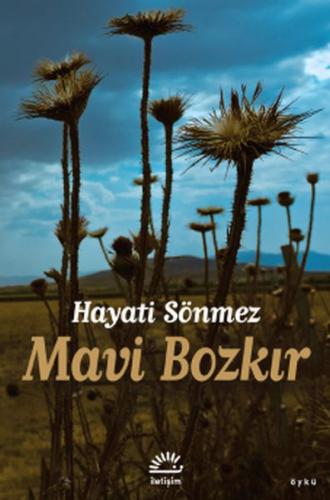 Mavi Bozkır %10 indirimli Hüseyin Sönmez