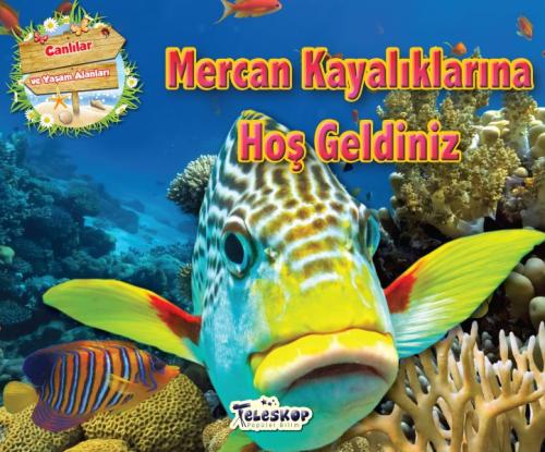 Mercan Kayalıklarına Hoş Geldiniz