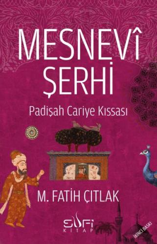 Mesnevi Şerhi %17 indirimli M. Fatih Çıtlak