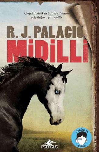 Midilli %15 indirimli R. J. Palacio