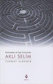 Muhasebe ve İnşa Sürecinde Aklı Selim %20 indirimli Turgay Aldemir