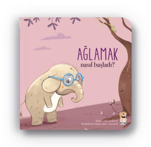 Nasıl Başladı - Ağlamak Ayşe Aydemir