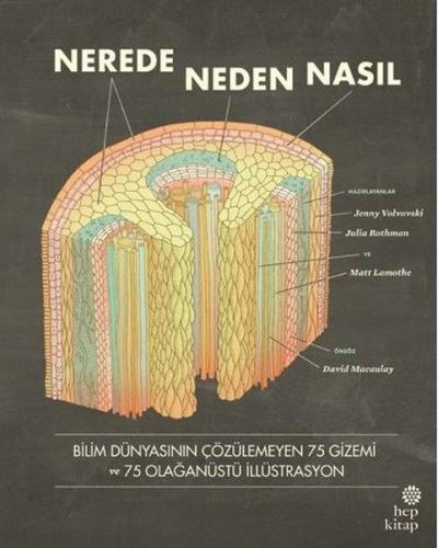 Nerede, Neden, Nasıl Jenny Volvovski