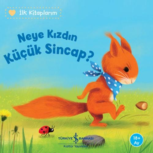 Neye Kızdın Küçük Sincap %31 indirimli Katja Reider