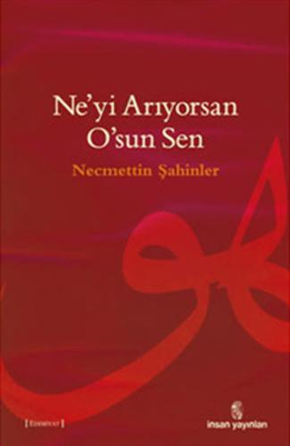 Ne'yi Arıyorsan O'sun Sen Necmettin Şahinler